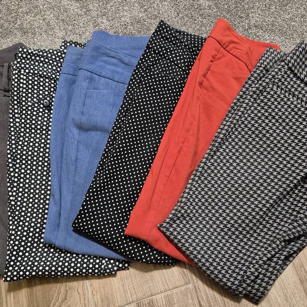 The Limited Women's Pants Size 2